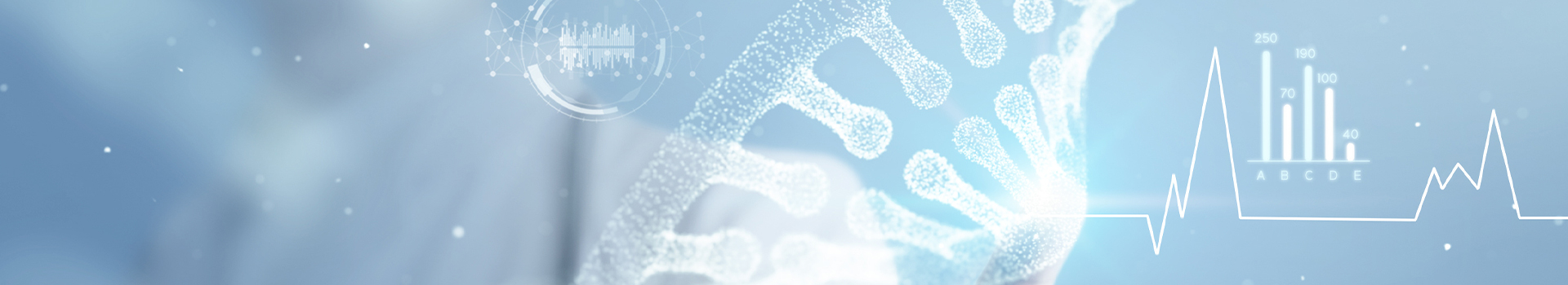 ne-banner5